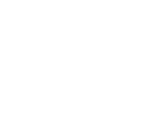 Example